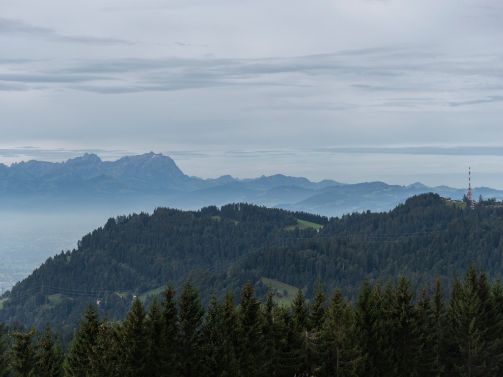 Hirschberg Gipfel mit Blick Richtung Pfänder